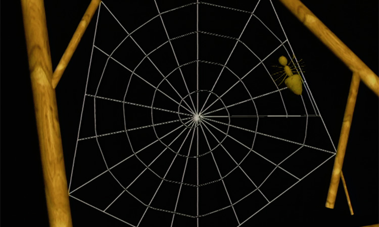 La construction de la toile d'araignée - 2mn 43s